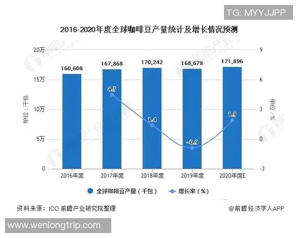 竞技体育发展现状与未来趋势分析：从专业化到全民健身的转型与挑战