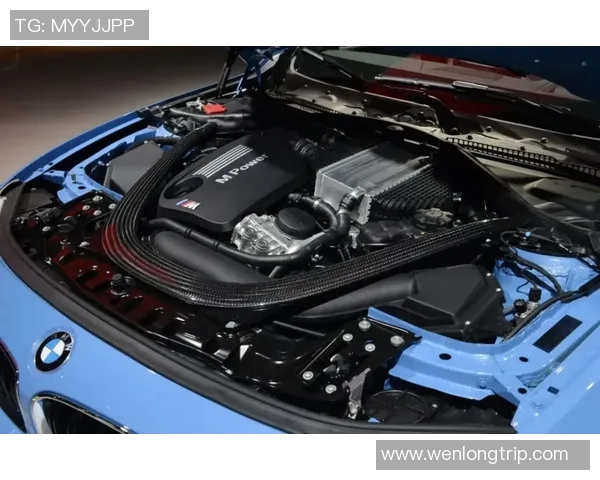 周芳专访：畅谈滑板生涯与未来梦想的追寻之路