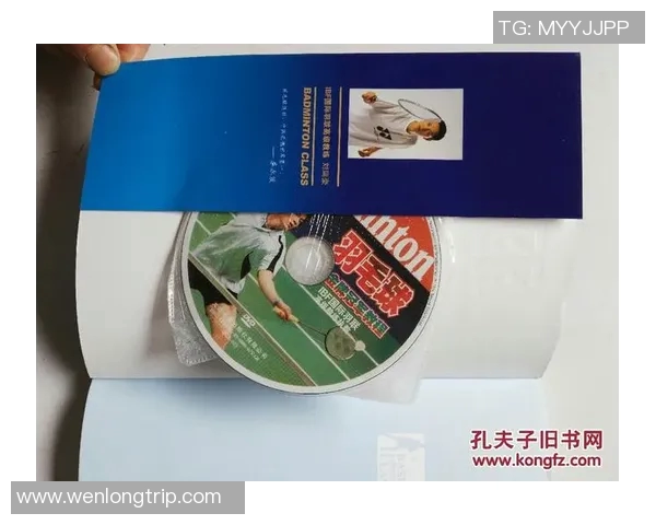 西安羽毛球队反击战术解析与实战应用探讨