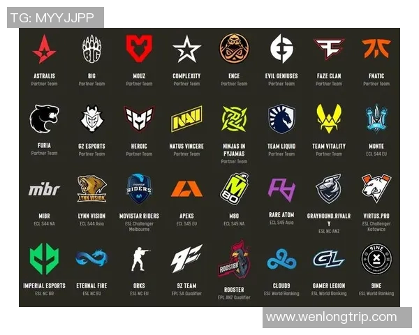 CSGO状态排名更新JDG战队创下历史新高引发关注