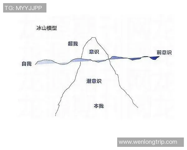深入分析北京飞盘队防守反击战术的独特魅力与实战应用 深入分析北京飞盘队防守反击战术的独特魅力与实战应用
