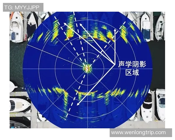 足球场建筑设计中的声学原理与观众体验优化 足球场建筑设计中的声学原理与观众体验优化